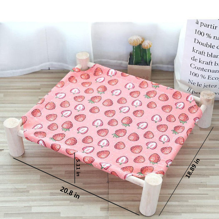 Off the floor cat beds 2025